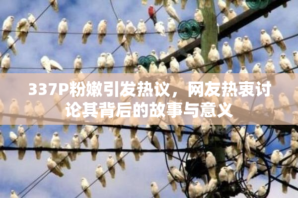 337P粉嫩引发热议，网友热衷讨论其背后的故事与意义