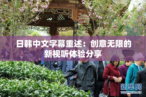 日韩中文字幕重述：创意无限的新视听体验分享