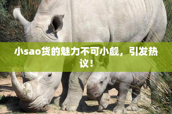 小sao货的魅力不可小觑，引发热议！