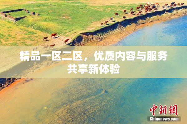 精品一区二区，优质内容与服务共享新体验