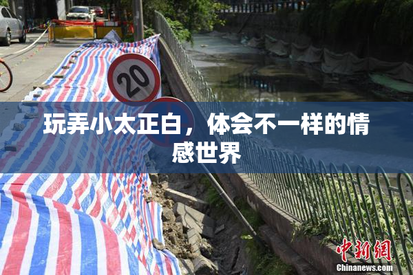 玩弄小太正白，体会不一样的情感世界