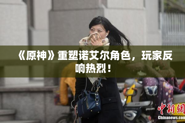 《原神》重塑诺艾尔角色，玩家反响热烈！