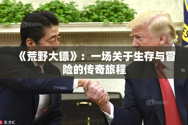 《荒野大镖》：一场关于生存与冒险的传奇旅程