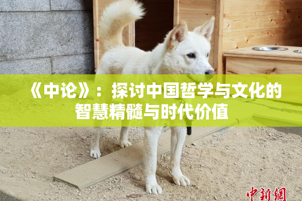 《中论》：探讨中国哲学与文化的智慧精髓与时代价值