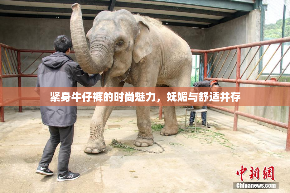 紧身牛仔裤的时尚魅力，妩媚与舒适并存