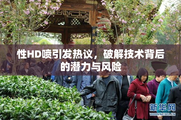性HD喷引发热议，破解技术背后的潜力与风险