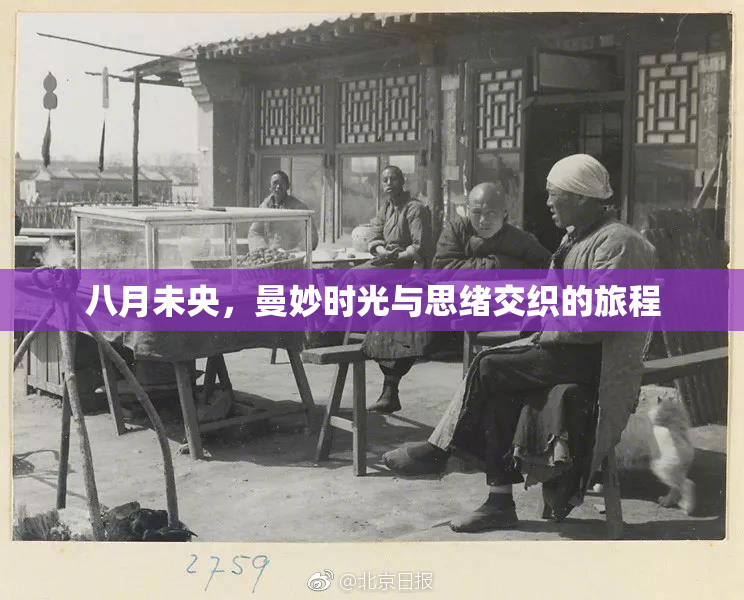八月未央，曼妙时光与思绪交织的旅程