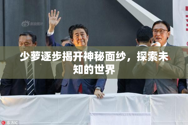 少萝逐步揭开神秘面纱，探索未知的世界