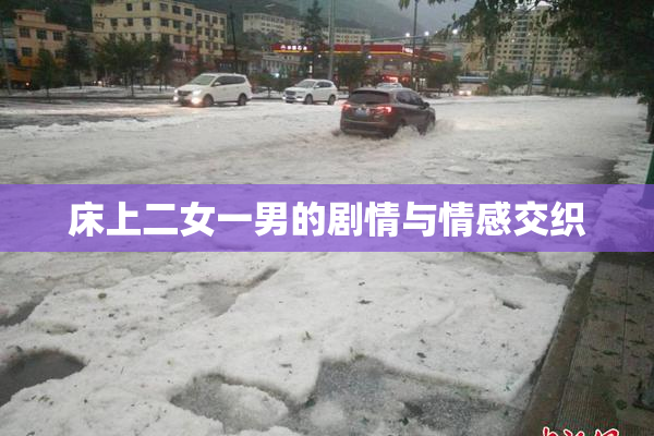 床上二女一男的剧情与情感交织