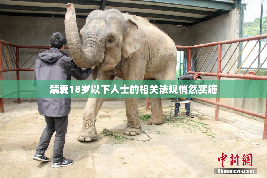 禁爱18岁以下人士的相关法规悄然实施