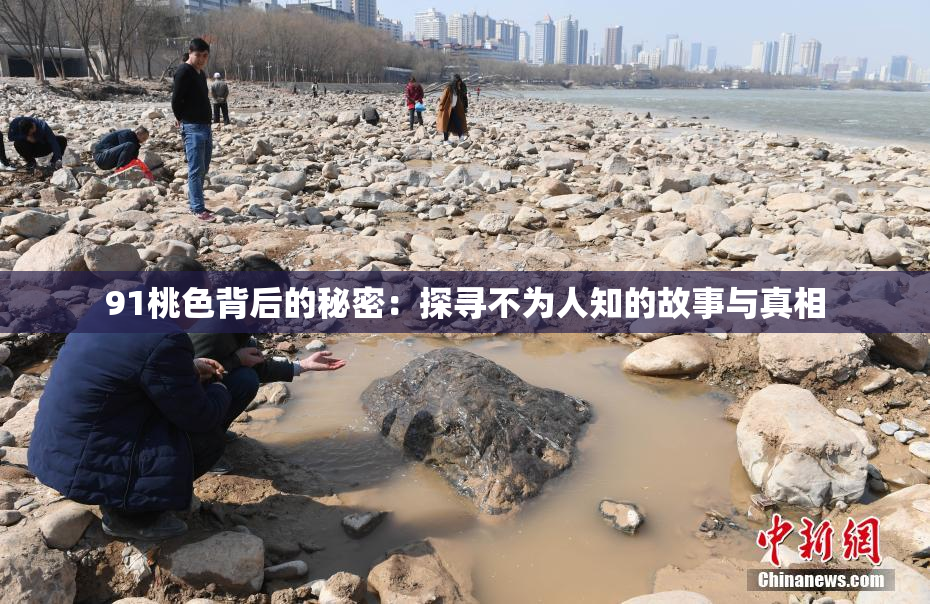 91桃色背后的秘密：探寻不为人知的故事与真相