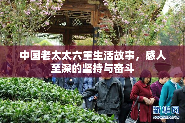 中国老太太六重生活故事，感人至深的坚持与奋斗