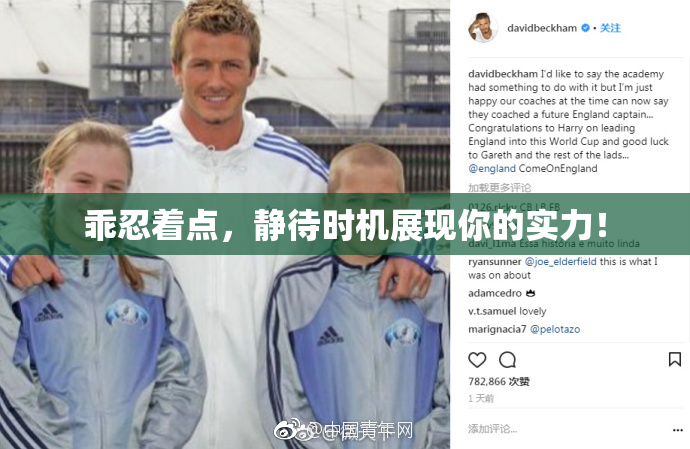 乖忍着点，静待时机展现你的实力！