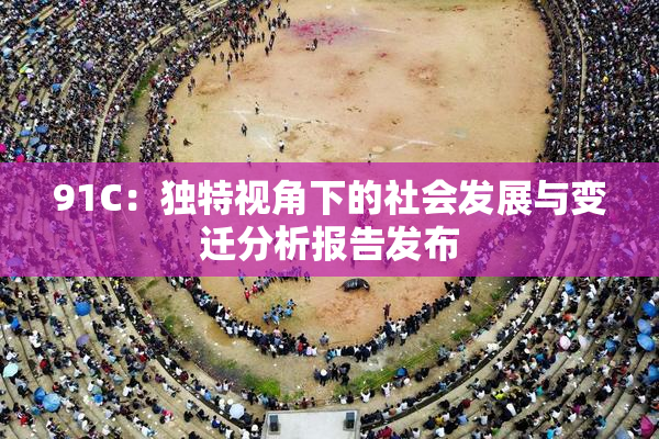 91C：独特视角下的社会发展与变迁分析报告发布