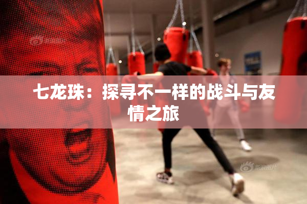 七龙珠：探寻不一样的战斗与友情之旅