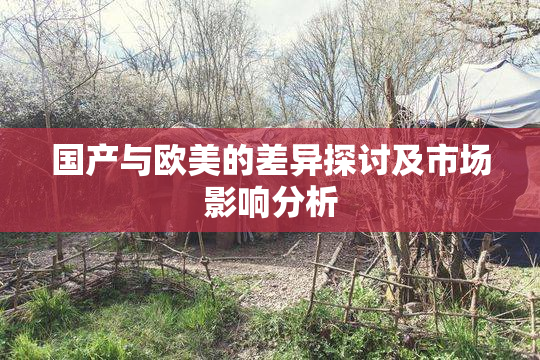 国产与欧美的差异探讨及市场影响分析