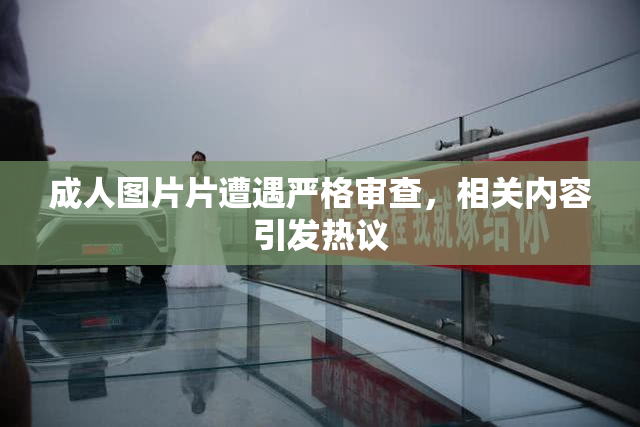 成人图片片遭遇严格审查，相关内容引发热议