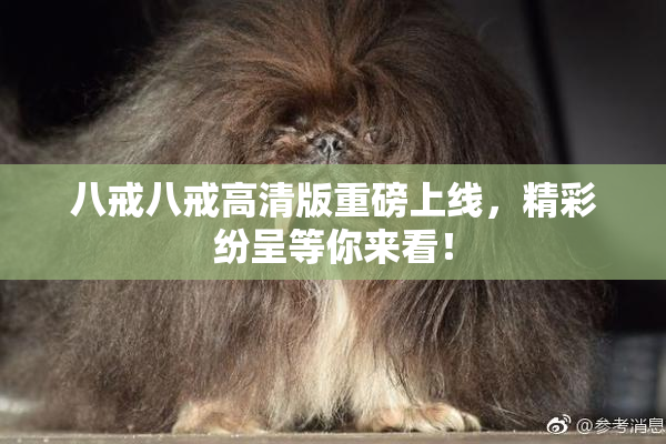 八戒八戒高清版重磅上线，精彩纷呈等你来看！