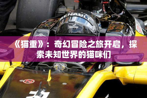 《猫重》：奇幻冒险之旅开启，探索未知世界的猫咪们