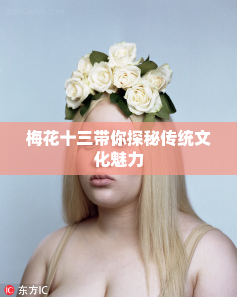 梅花十三带你探秘传统文化魅力