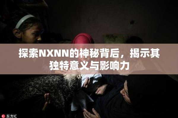 探索NXNN的神秘背后，揭示其独特意义与影响力