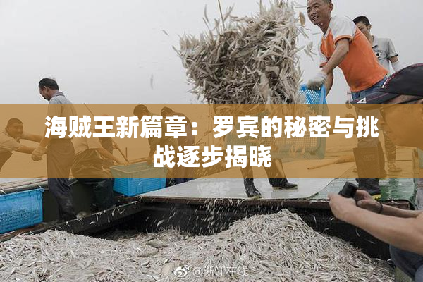 海贼王新篇章：罗宾的秘密与挑战逐步揭晓