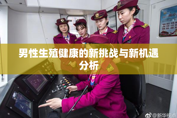 男性生殖健康的新挑战与新机遇分析
