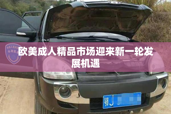 欧美成人精品市场迎来新一轮发展机遇