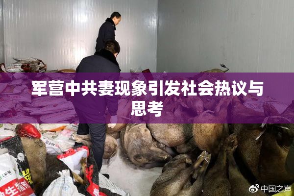 军营中共妻现象引发社会热议与思考