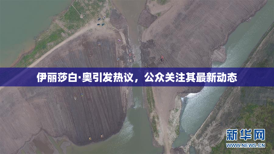 伊丽莎白·奥引发热议，公众关注其最新动态