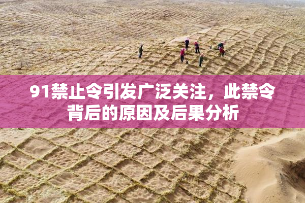 91禁止令引发广泛关注，此禁令背后的原因及后果分析