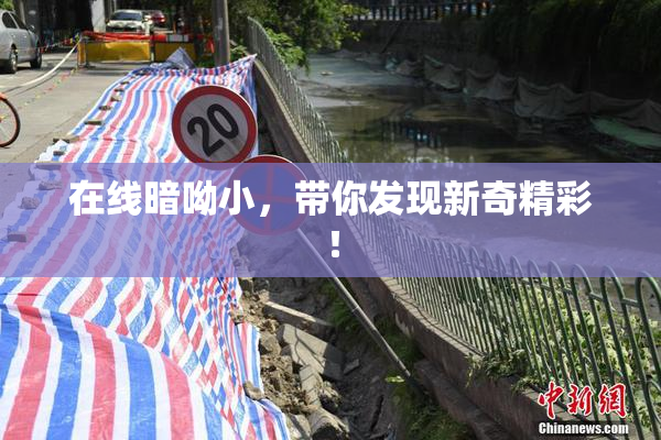 在线暗呦小，带你发现新奇精彩！