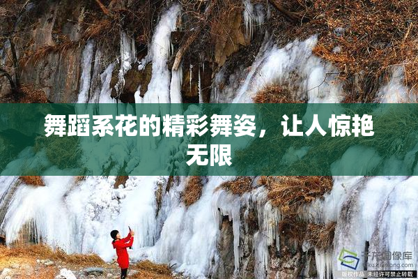 舞蹈系花的精彩舞姿，让人惊艳无限