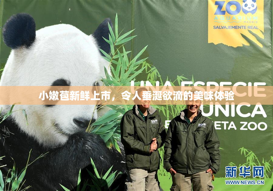小嫩苞新鲜上市，令人垂涎欲滴的美味体验