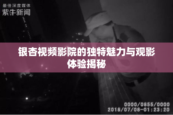 银杏视频影院的独特魅力与观影体验揭秘