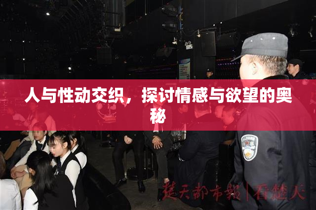 人与性动交织，探讨情感与欲望的奥秘