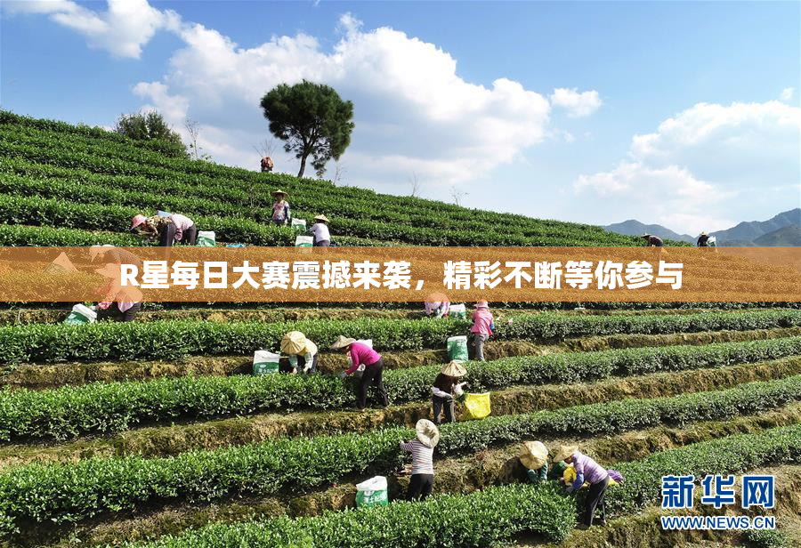 R星每日大赛震撼来袭，精彩不断等你参与