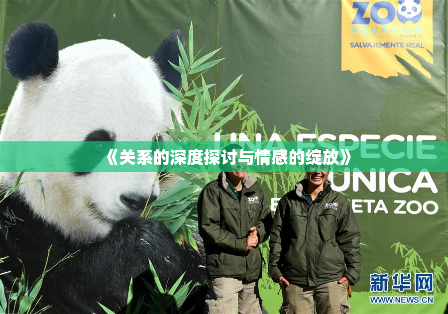 《关系的深度探讨与情感的绽放》