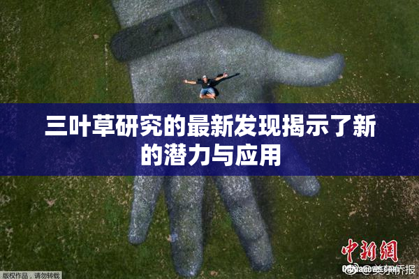 三叶草研究的最新发现揭示了新的潜力与应用