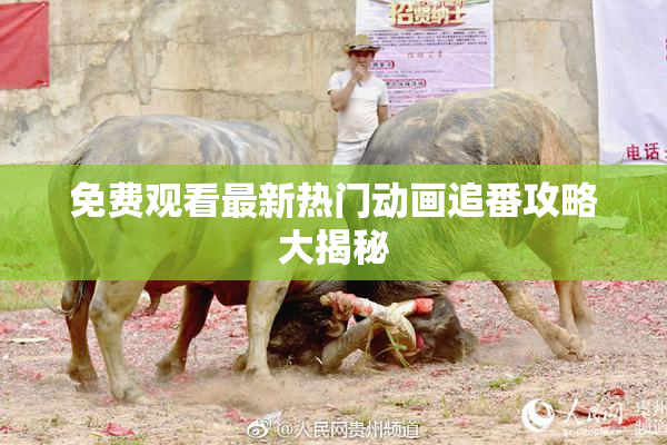 免费观看最新热门动画追番攻略大揭秘