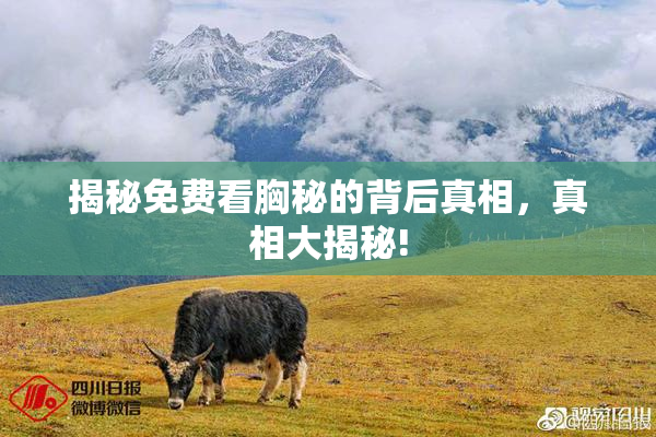 揭秘免费看胸秘的背后真相，真相大揭秘!