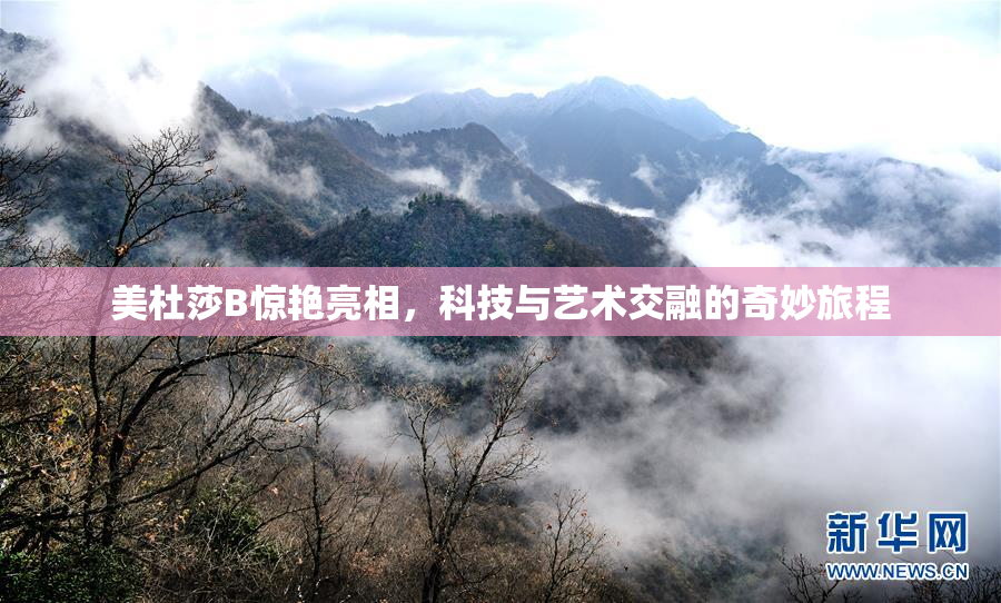 美杜莎B惊艳亮相，科技与艺术交融的奇妙旅程