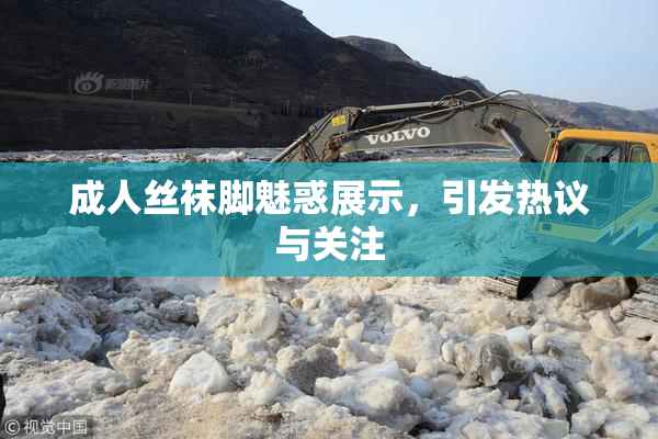 成人丝袜脚魅惑展示，引发热议与关注