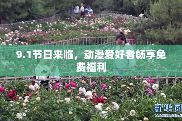 9.1节日来临，动漫爱好者畅享免费福利