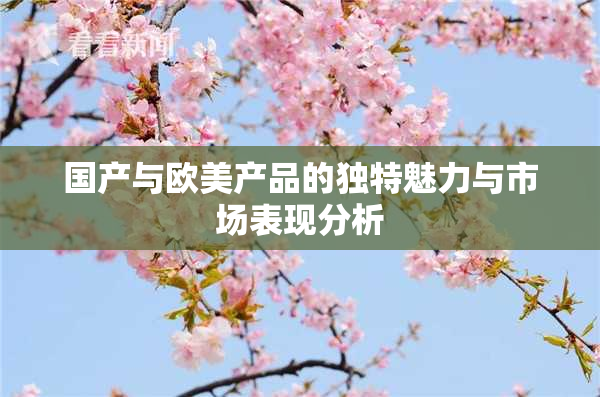 国产与欧美产品的独特魅力与市场表现分析