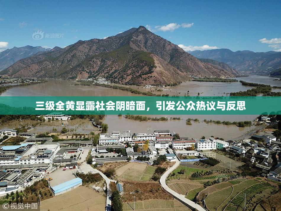 三级全黄显露社会阴暗面，引发公众热议与反思