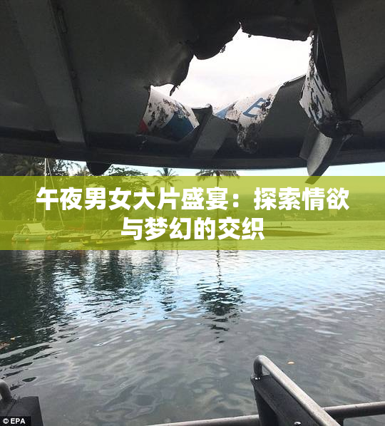 午夜男女大片盛宴：探索情欲与梦幻的交织