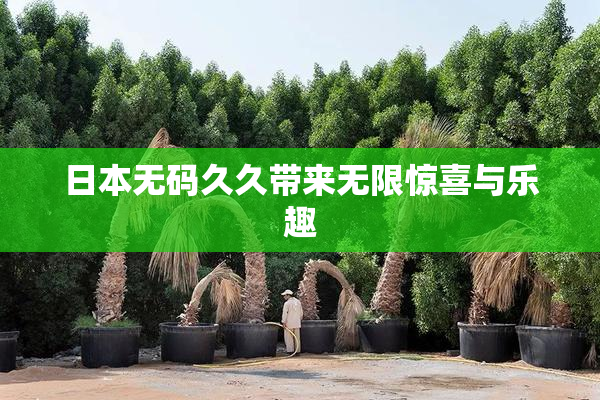 日本无码久久带来无限惊喜与乐趣