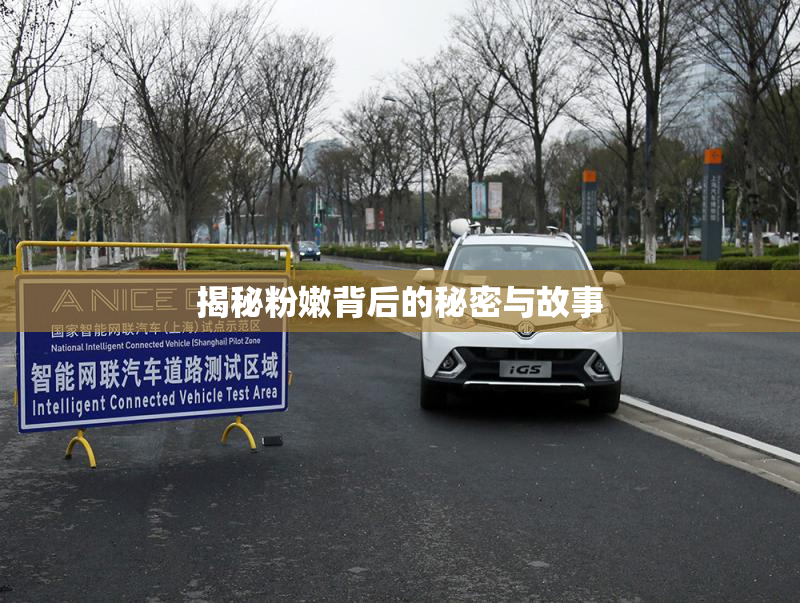 揭秘粉嫩背后的秘密与故事