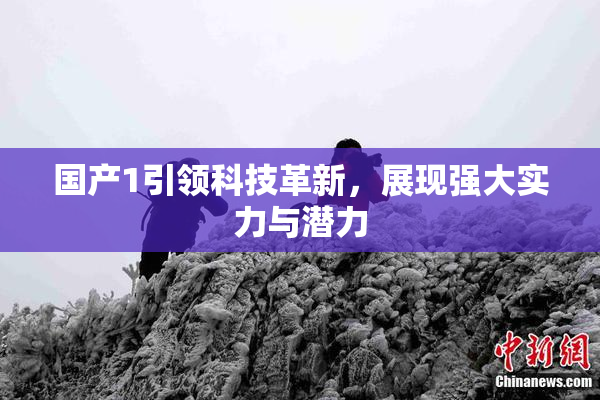 国产1引领科技革新，展现强大实力与潜力